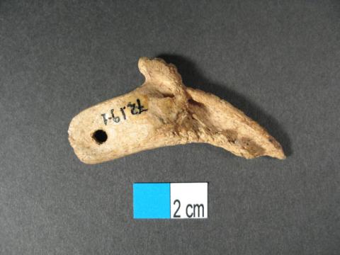 Primera imagen del registro Anzuelo