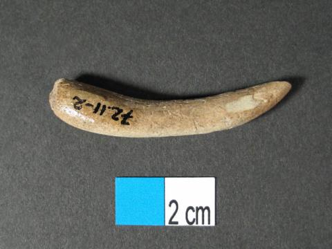 Primera imagen del registro Anzuelo