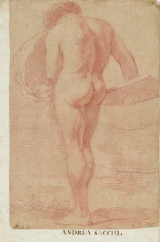 Primera imagen del registro Estudio de un desnudo masculino