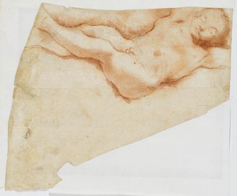 Primera imagen del registro Estudio de niño dormido (anverso) / Estudio de niño dormido (reverso)