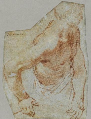 Primera imagen del registro Media figura con bastón (anverso) / Estudio de cabeza (reverso)