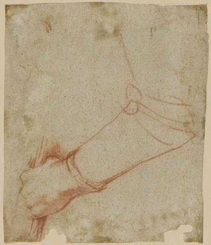 Primera imagen del registro Estudio de brazo con bastón