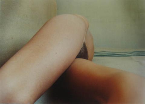 Primera imagen del registro Un desnudo