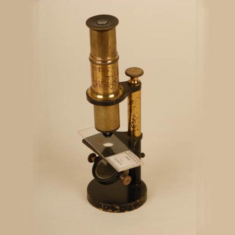 Primera imagen del registro Microscopio