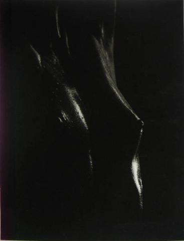 Primera imagen del registro Torso Nº3