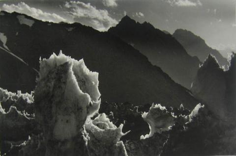 Primera imagen del registro Flor de nieve
