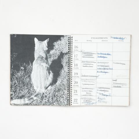 Primera imagen del registro The Cat Calendar