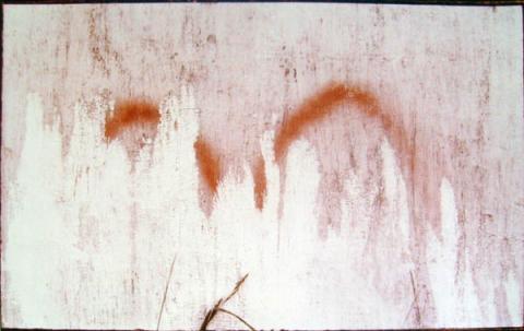 Primera imagen del registro Serie murallas, lentamente van descascarándose los muros pintados de blanco