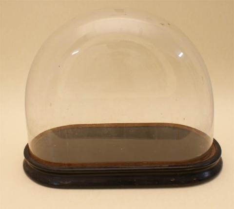Primera imagen del registro Fanal de cristal
