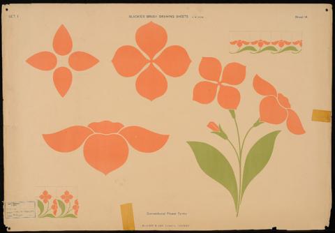 Primera imagen del registro Conventional flower forms