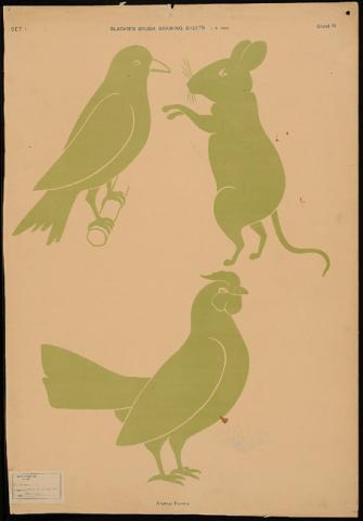 Primera imagen del registro Animal forms