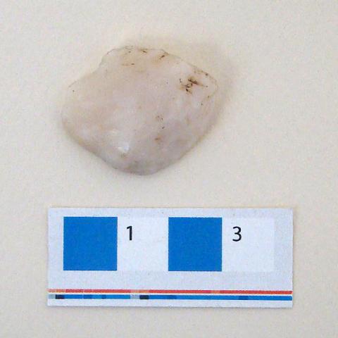 Primera imagen del registro Lasca