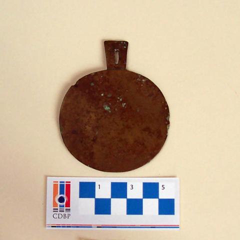 Primera imagen del registro Placa