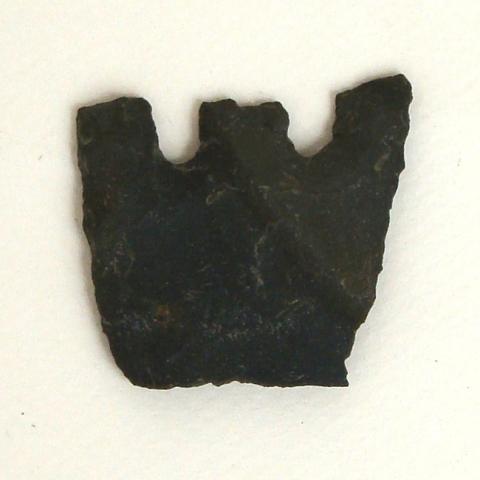 Primera imagen del registro Lasca