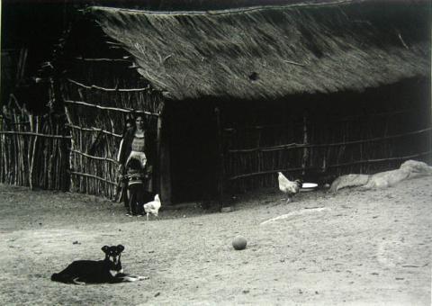 Primera imagen del registro En familia