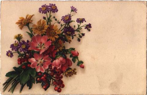 Primera imagen del registro Flores