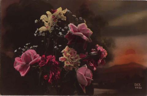Primera imagen del registro Flores Rosadas