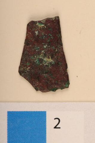 Primera imagen del registro Pinza