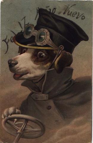 Primera imagen del registro Perro Chofer