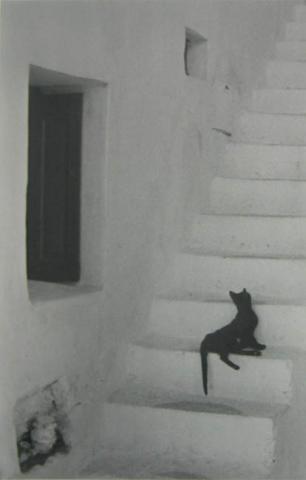 Primera imagen del registro Mikonos III