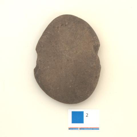 Primera imagen del registro Pesa de red