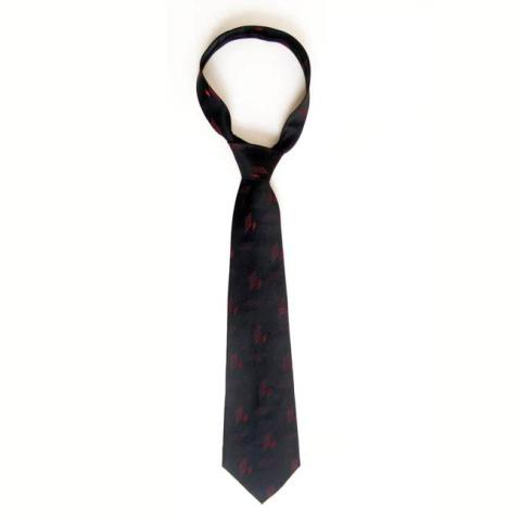 Primera imagen del registro Corbata