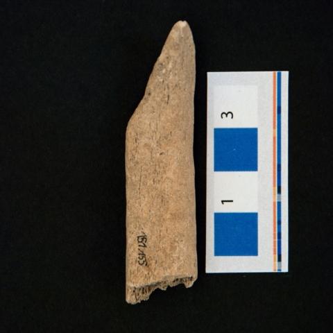 Primera imagen del registro Retocador (arqueológico)