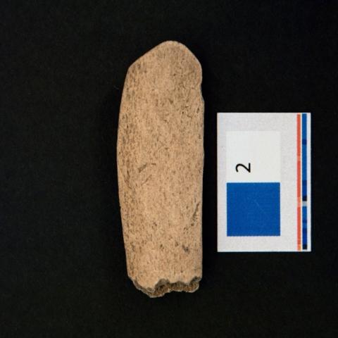 Primera imagen del registro Desconchador