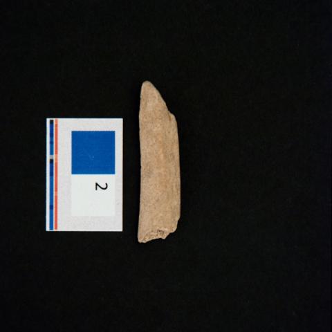 Primera imagen del registro Desconchador