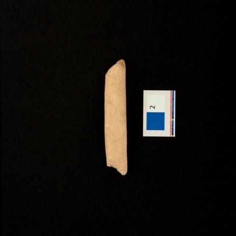Primera imagen del registro Retocador (arqueológico)