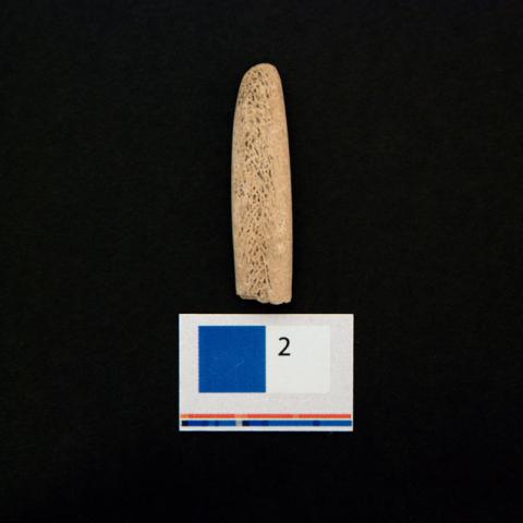 Primera imagen del registro Alisador