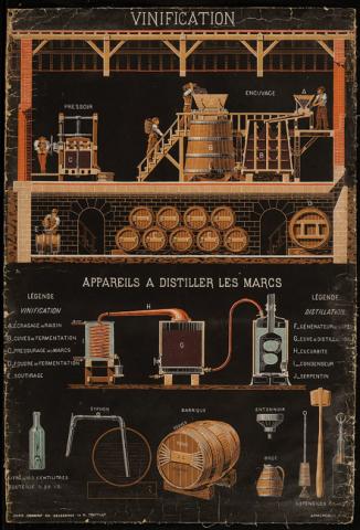 Primera imagen del registro Vinification