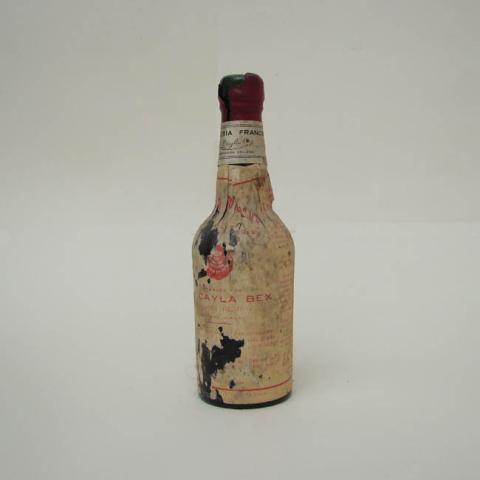 Primera imagen del registro Botella