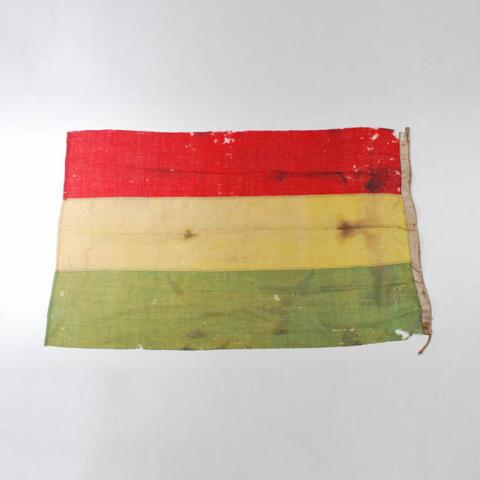 Primera imagen del registro Bandera boliviana