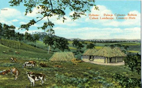 Primera imagen del registro Paisaje cubano