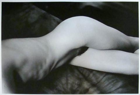 Primera imagen del registro Serie Desnudos