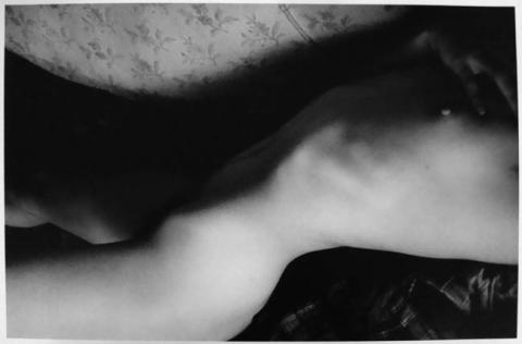 Primera imagen del registro Serie Desnudos