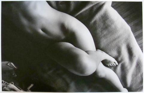 Primera imagen del registro Serie Desnudos