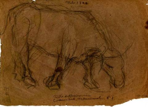 Primera imagen del registro Croquis de figuras animales