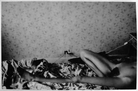 Primera imagen del registro Serie Desnudos