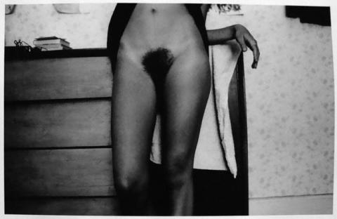Primera imagen del registro Serie Desnudos
