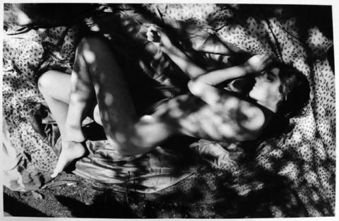 Primera imagen del registro Serie Desnudos
