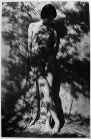 Primera imagen del registro Serie Desnudos