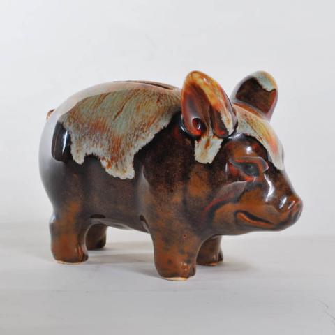 Primera imagen del registro Chancho
