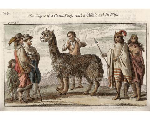 Primera imagen del registro The figure of a Camel Sheep with a Chilese and his Wife