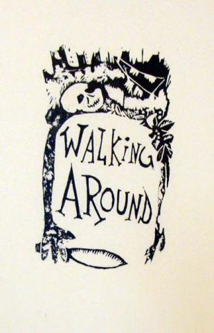 Primera imagen del registro Walking Around