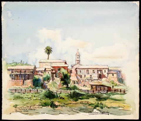 Primera imagen del registro Palmera colonial, lado Norte
