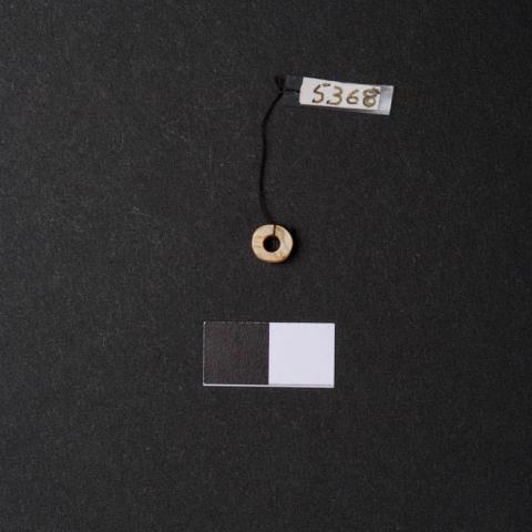 Primera imagen del registro Cuenta