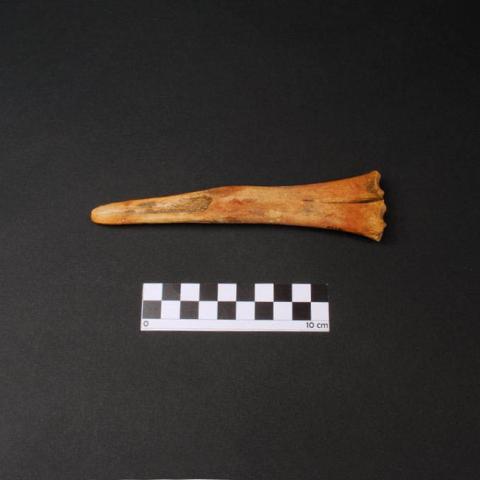 Primera imagen del registro Desconchador
