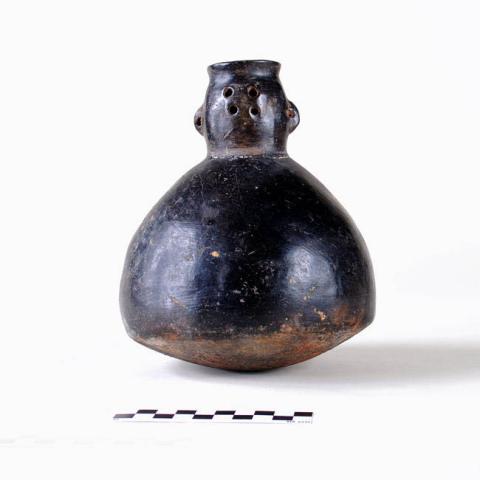 Primera imagen del registro Botella (arqueológica y etnográfica)